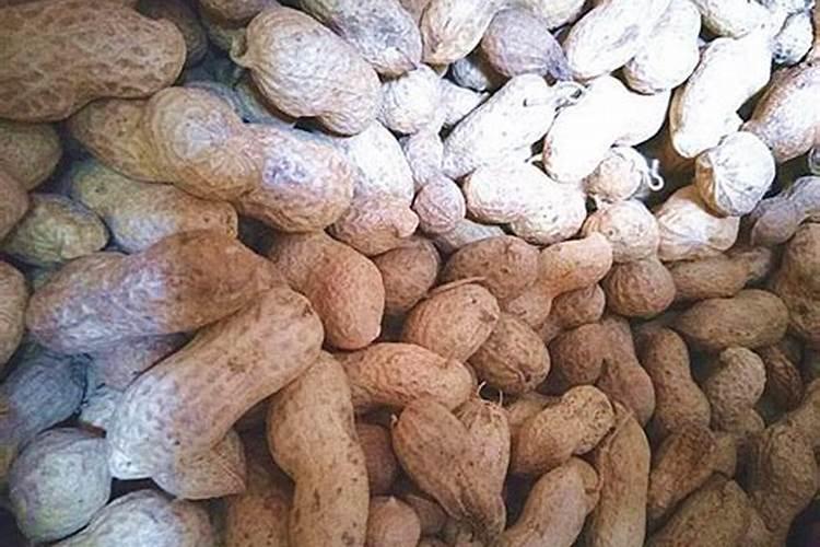 熟花生壳可以做肥料吗