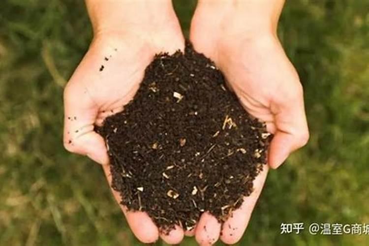有机肥比化肥好的原因