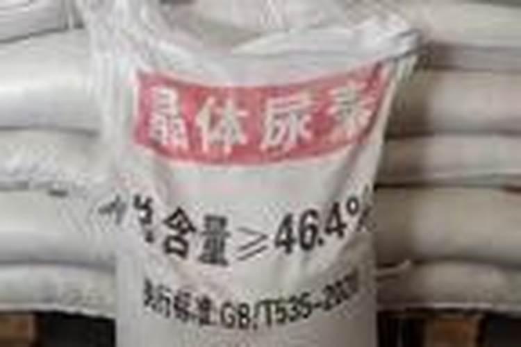 储存二年的干玉米不霉变可以吃吗？