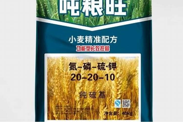 果树什么时候施肥最好