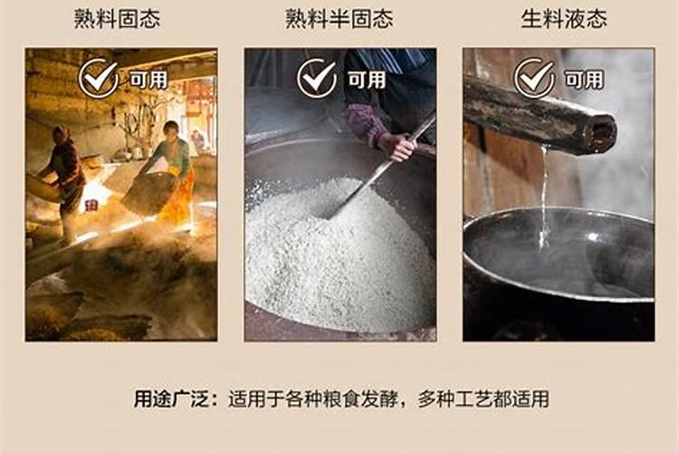 旱稻种植技术,旱稻和水稻的区别