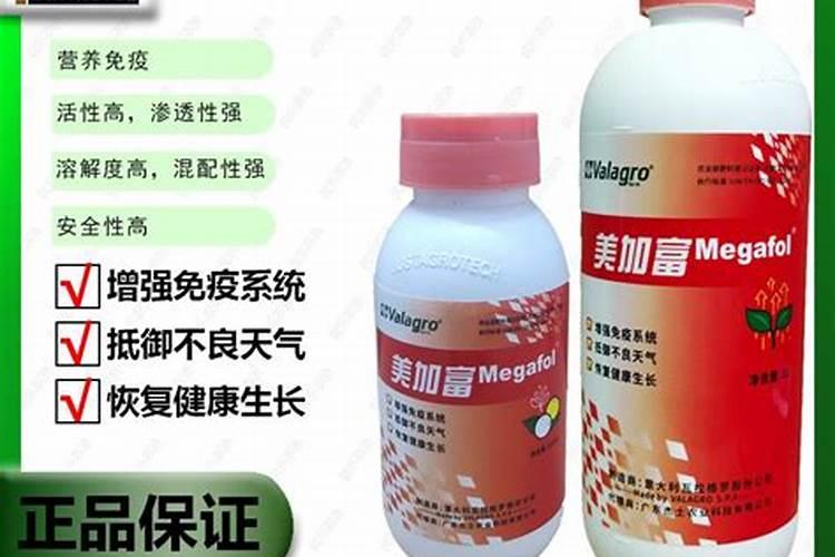 烂苹果怎么做花的肥料烂苹果如何做花的肥料