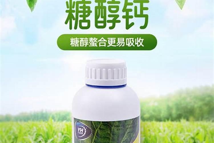 长寿花长花苞时能喷磷酸二氢钾吗？长寿花长花苞可以喷磷酸二氢钾肥