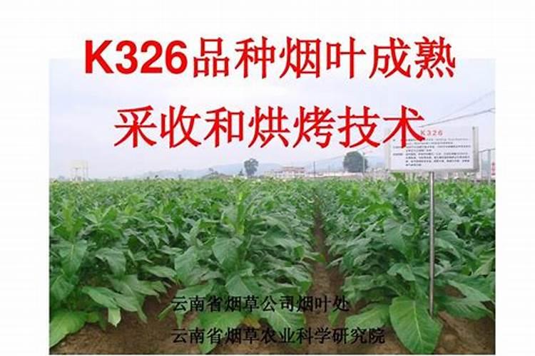 磷肥有哪些危害