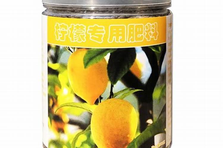 小玫瑰花冬天怎么养殖方法和注意事项