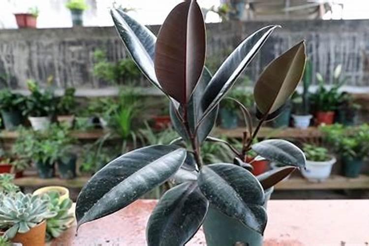 化肥通常的保质期限是多长时间