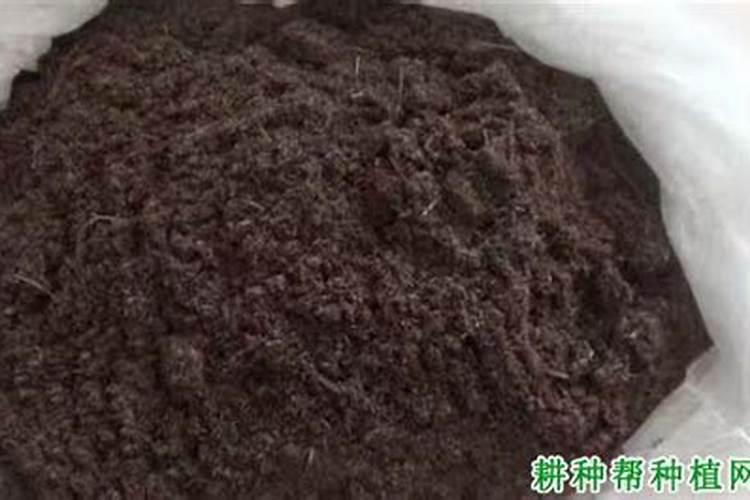 如何区分冷性和热性肥料？