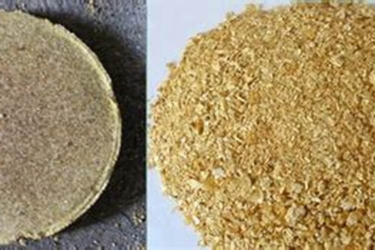 巴西木腐烂怎么补救