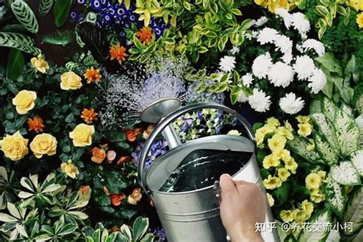 冬季果树施肥的正确方法