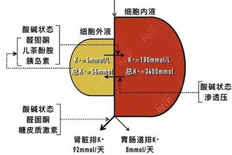 为促进钾肥吸收可以实施哪些手段