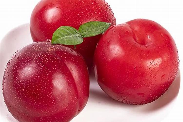 李子不能和什么一起吃