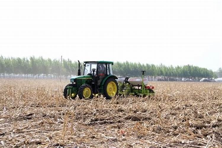 玉米出穗能打叶面肥吗