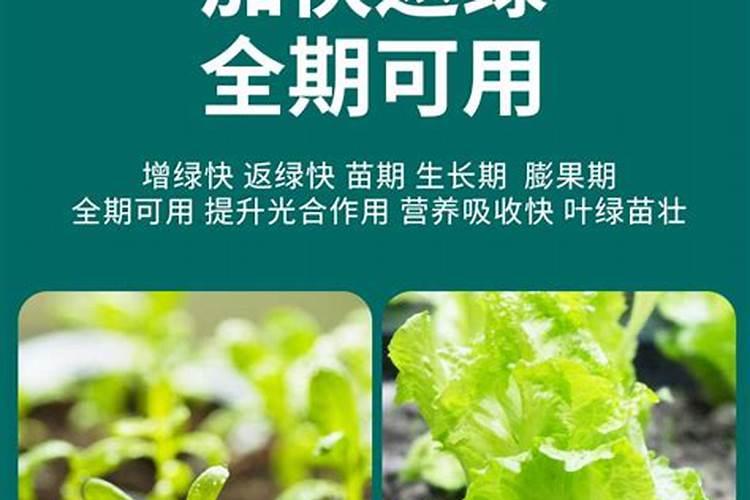 苹果籽怎么提取氢化物