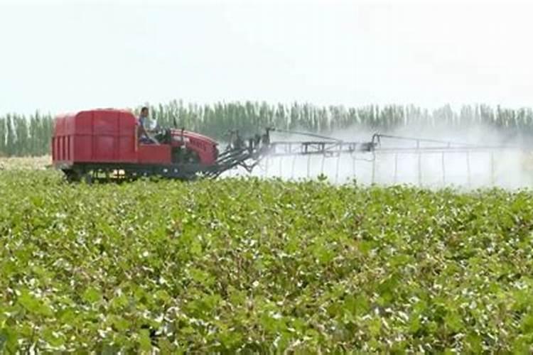 棉花喷叶面肥有什么作用