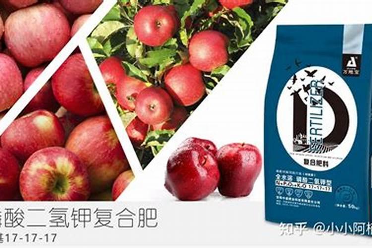 苹果树要怎样施肥？