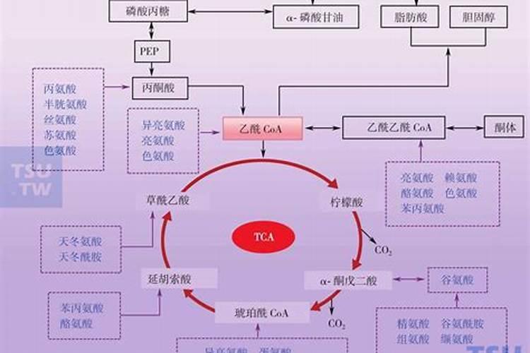 氮肥利用了氮气的什么性质,氮肥是什么肥