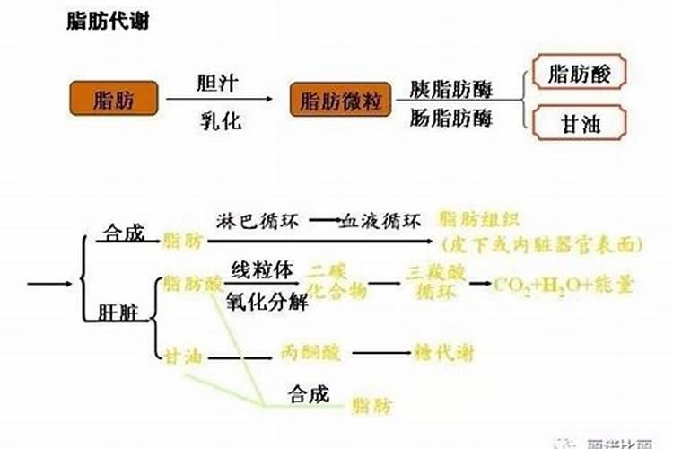 氨基酸可以浇花吗可以兑水浇花吗？