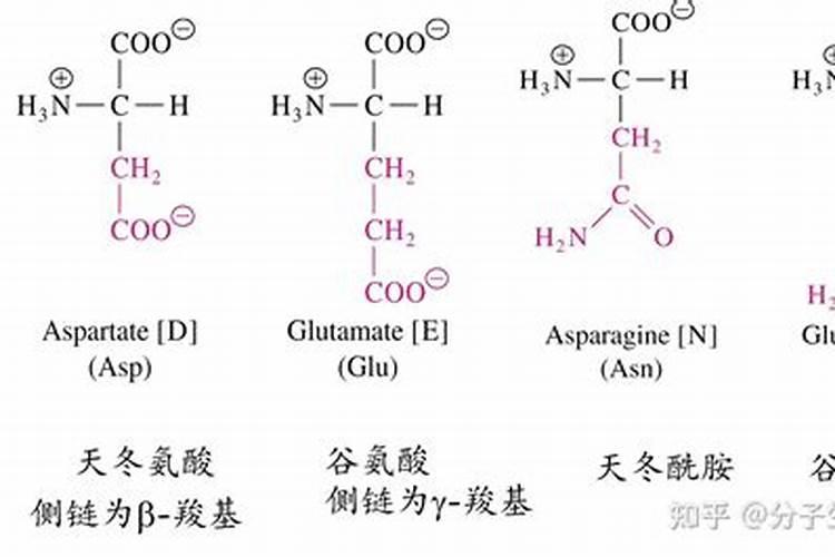 氨是最重要的氮肥吗？