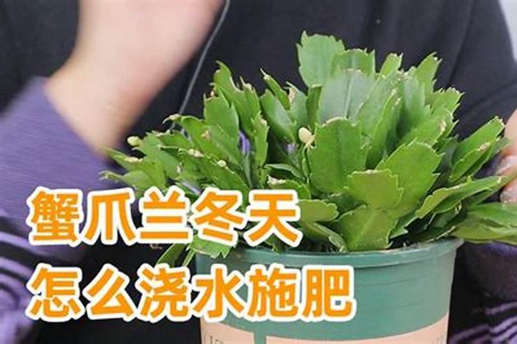 园林绿化用什么肥料