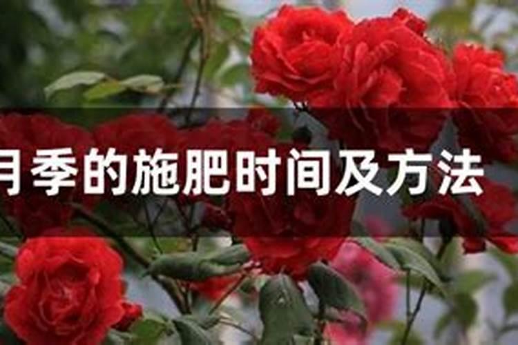 种小麦底肥最佳配方