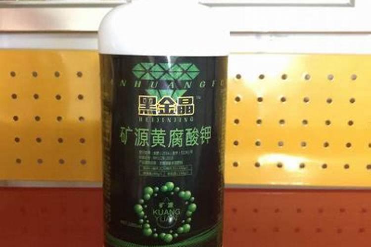 开普芦荟图片(开普芦荟的功效与作用)