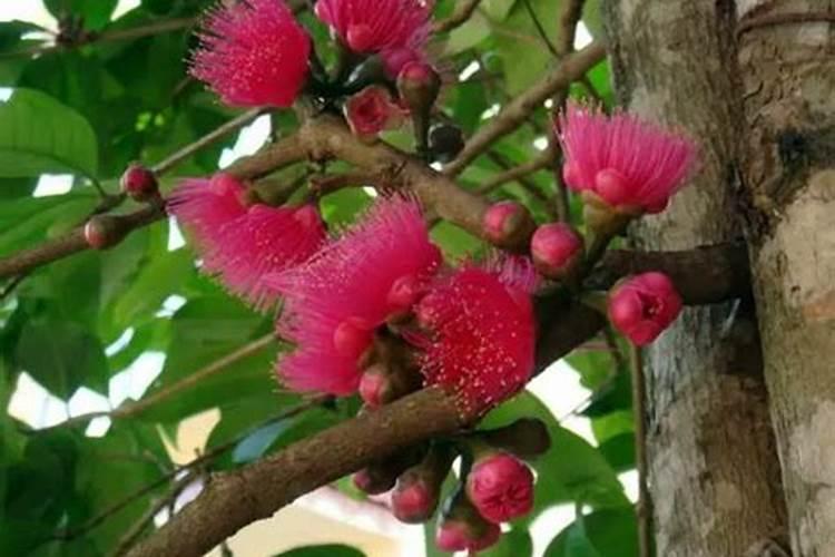 深海全能虎171717