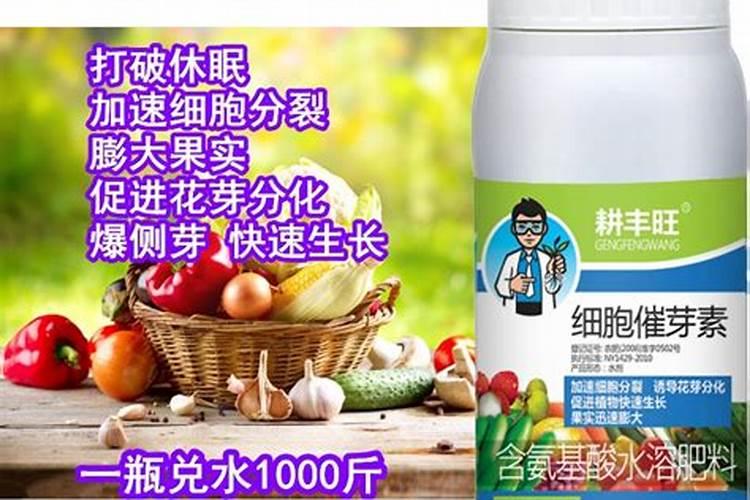 旱稻生长期几氨基酸水溶肥可以和920一块喷洒吗个月