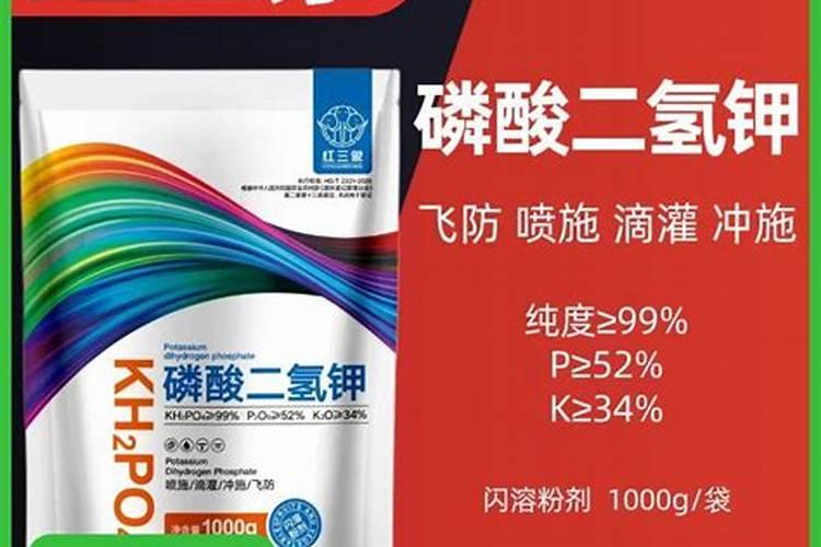 开花需要磷肥还是钾肥