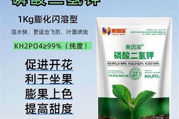 开花需要磷肥还是钾肥
