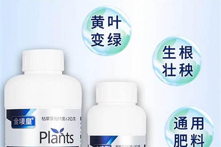 玉米控旺药能和杀虫药一起打吗