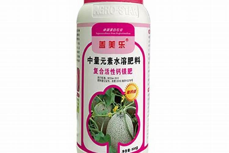 适合78月份种的菜有哪些