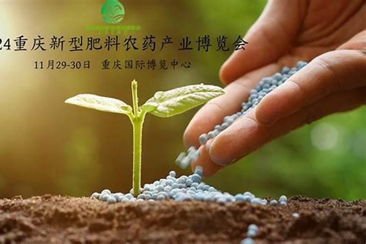 芦荟用什么肥料好