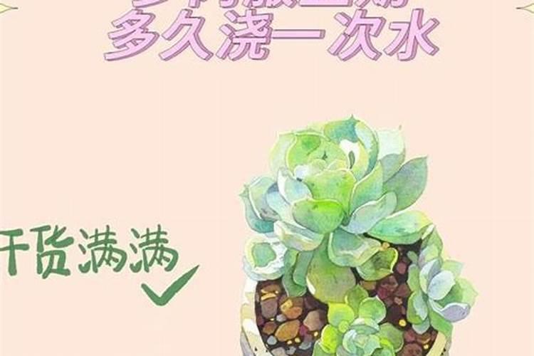 水稻秧苗怎么管理提高分蘖率 水稻秧苗怎么管理提高分蘖率的方法百度...