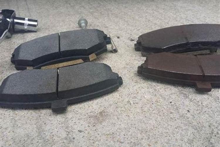 仙人掌怎样施肥施什么肥