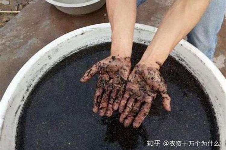 为什么需要钙镁同补？镁不适合什么病的人