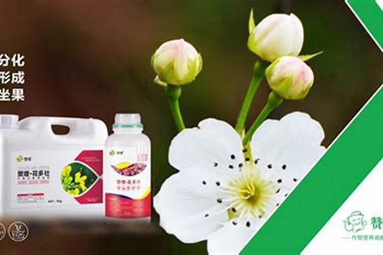 秸秆还田的土地用什么底肥好