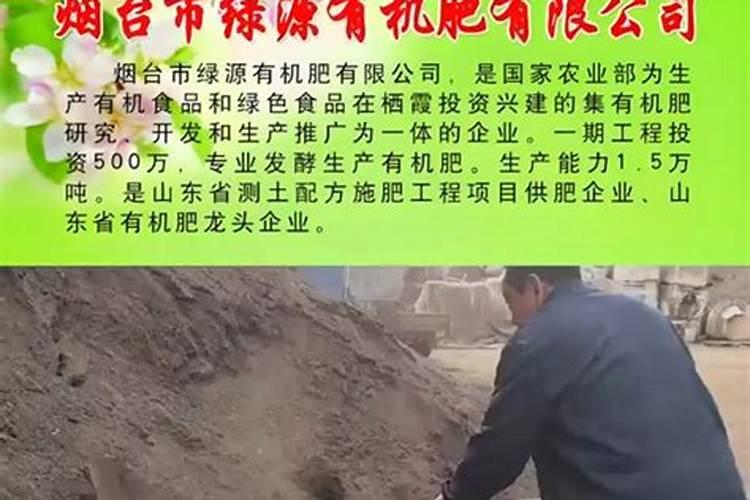 刚移栽的小番茄苗能浇鱼蛋白吗