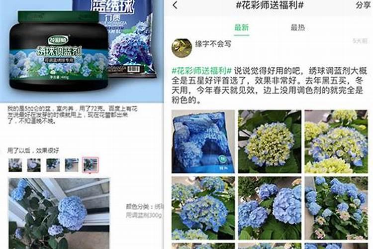 绣球调色用硫酸铝还是硫酸亚铁