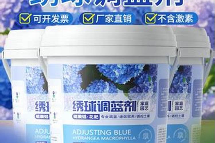 绣球什么时候施肥最好