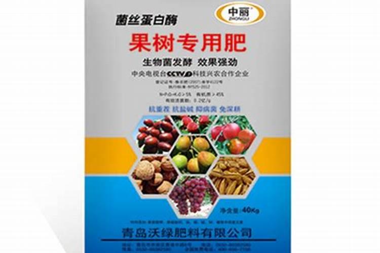 草莓大棚一亩需要多少本钱？收获如何？