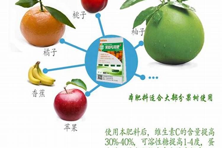 柑橘结果期上什么肥料产量高？柑橘膨果期专用肥是什么肥料？