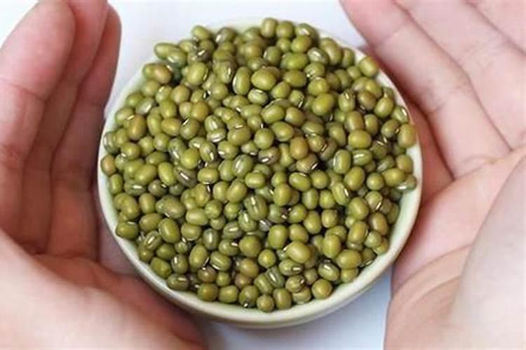 绿豆该如何种植