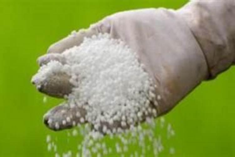 红薯移栽后剩下杆多久返青呢