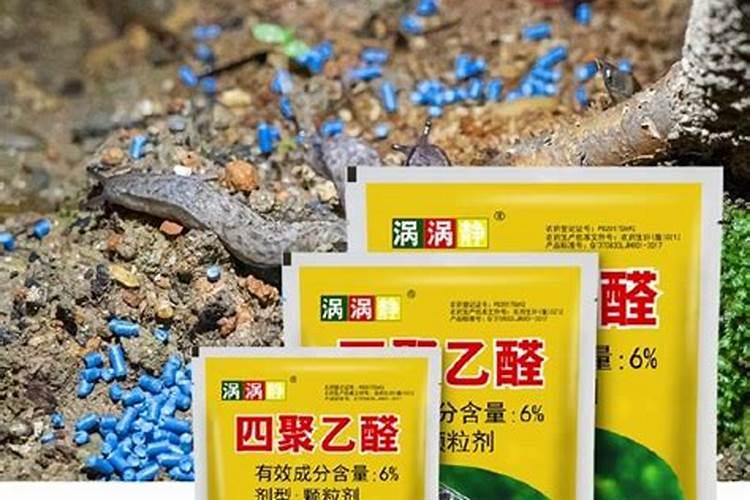 初一下生物复习资料