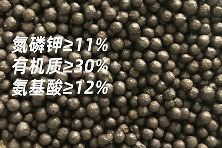 有机肥设备十大厂家？