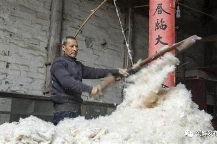 粮食概念股有哪些？