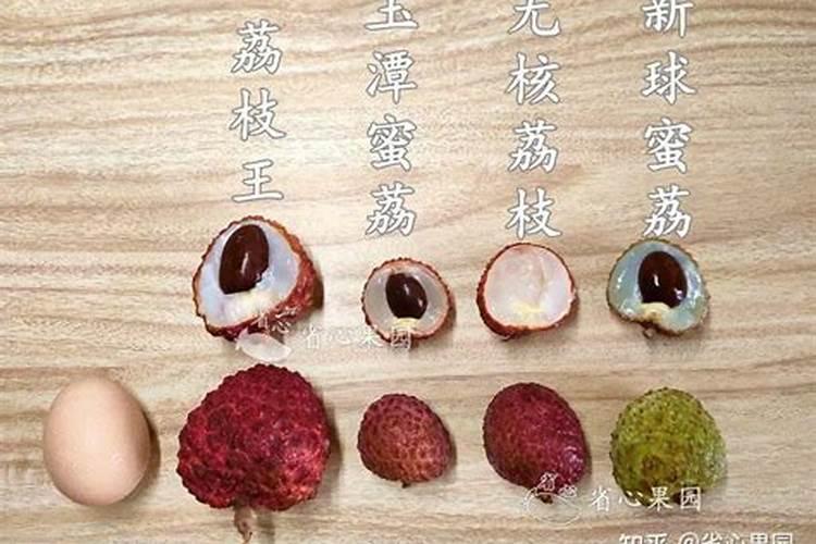 荔枝花芽分化期施什么肥、荔枝施肥管理技术