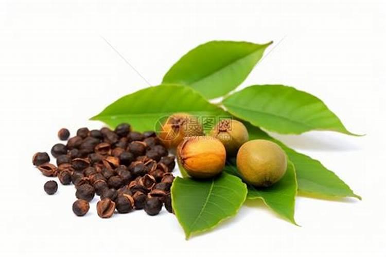 茶树生长对土壤的要求之一是喜什么,对肥料有什么要求