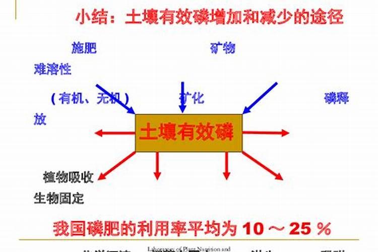 氮磷钾植物利用怎么计算？