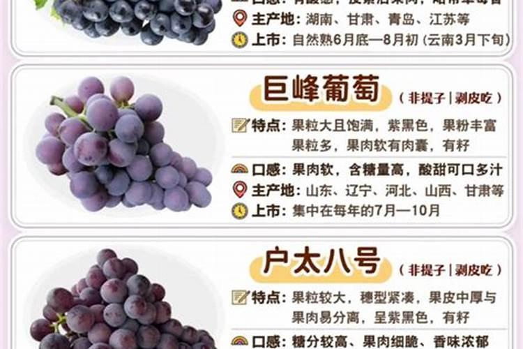 自家种的葡萄树施什么肥好